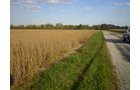 Property photo 7 - 75+/- Acres in 9 Tracts